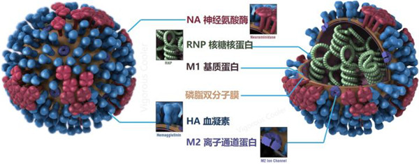 新闻图片2