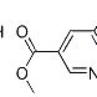 89937-78-0/	 5-羟基烟酸甲酯盐酸盐 ,	95%