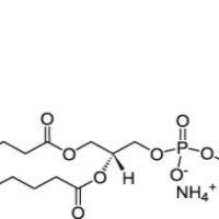 827020-81-5/	 1,2-dimyristoyl-sn-glycero-3-phosphoethanolamine-N-diethylenetriaminepentaacetic acid (gadolinium salt) ,	>99%