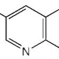 30418-59-8/	 3-氨基硼酸 ,AR，98%