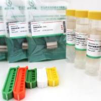 	 再生纤维素透析袋（50000） ,	10mm,0.32ML／CM