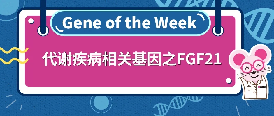 代谢性疾病相关基因之FGF21