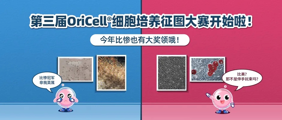 赛业OriCell第三届细胞培养图片大赛来啦~