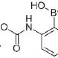 863752-59-4/	 4-(T-BUTOXYCARBONYLAMINO)PYRIDINE-3-BORONIC ACID ,	≥95%