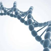 4-Amino-benzenesulfonic acid monosodium salt