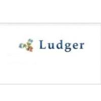 LudgerClean T1多糖纯化小柱
