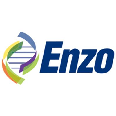 Enzo免疫印迹显色试剂盒（抗小鼠）