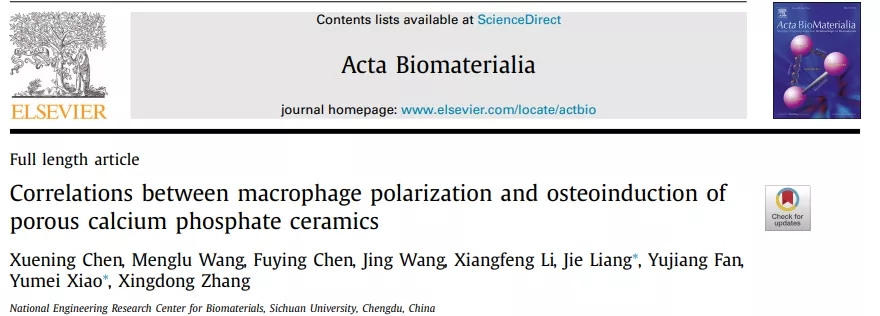 生物材料的骨诱导机制