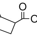 10138-32-6/	 5-降片烯-2-羧酸乙酯 ,	≥98%