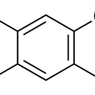 88-58-4/ 2,5-二叔丁基对苯二(DBHQ) ,分析标准品,98%
