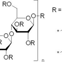 9004-36-8/	 醋酸丁酸纤维素 源叶	44-50%