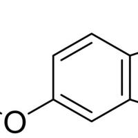 10501-17/-4 5-乙氧基吲哚 , 97%