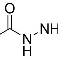 1068-57-1/	 乙酰肼,≥98%