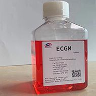 ECGM-b内皮细胞培养基基础