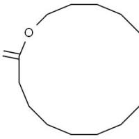 106-02-5/	 环十五内酯,	≥95%（GC）