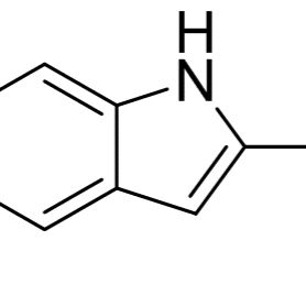 105191-13-7/ 5-基-1H-吲哚-2-羧酸乙酯 97%