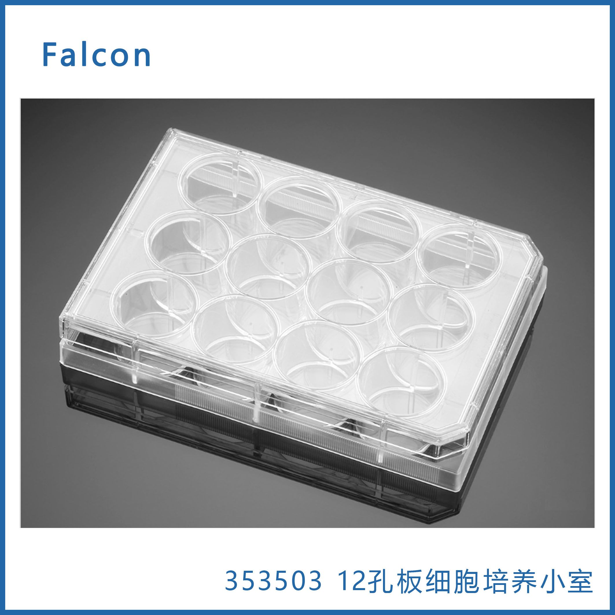 Falcon 353503  12孔细胞培养小室TC处理聚苯乙烯渗透性支架配套板，带盖，无菌 现货