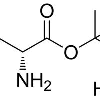 104944-18-5/ D-缬氨酸叔丁基盐酸盐 ., 98%