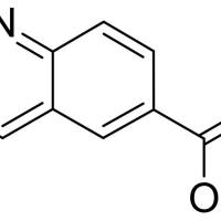 10349-57-2/	 啉-6-羧酸 ,	98%
