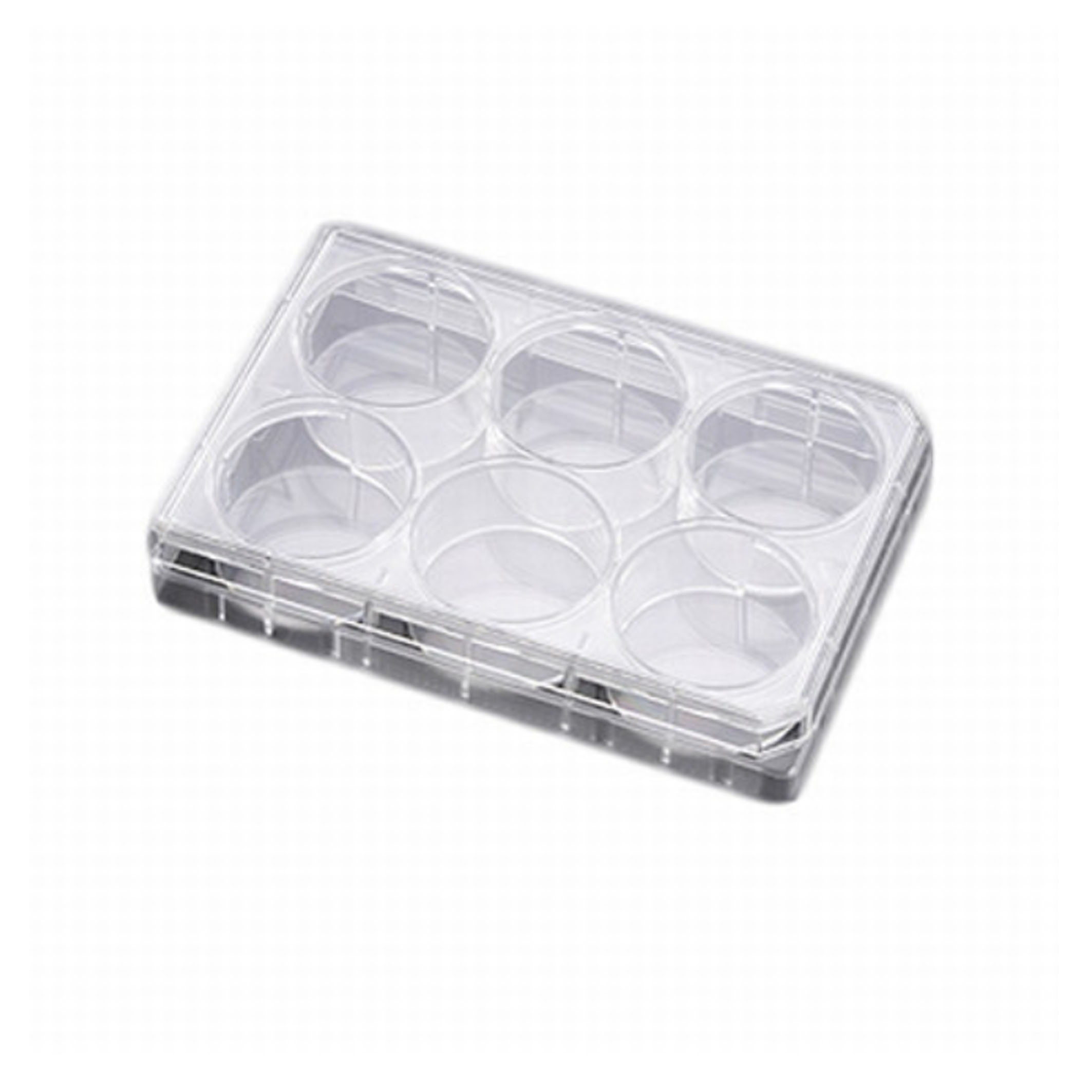 Falcon 353502  6孔板细胞培养小室TC处理聚苯