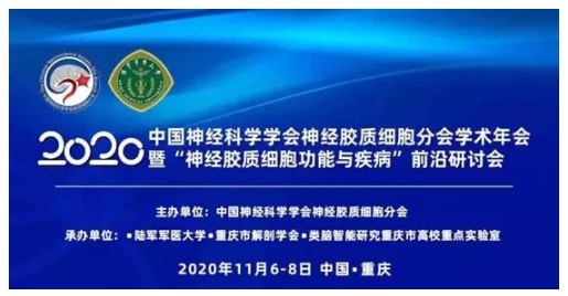 助推神经科学发展——吉凯基因受邀参加“神经胶质细胞与疾病”前沿研讨会