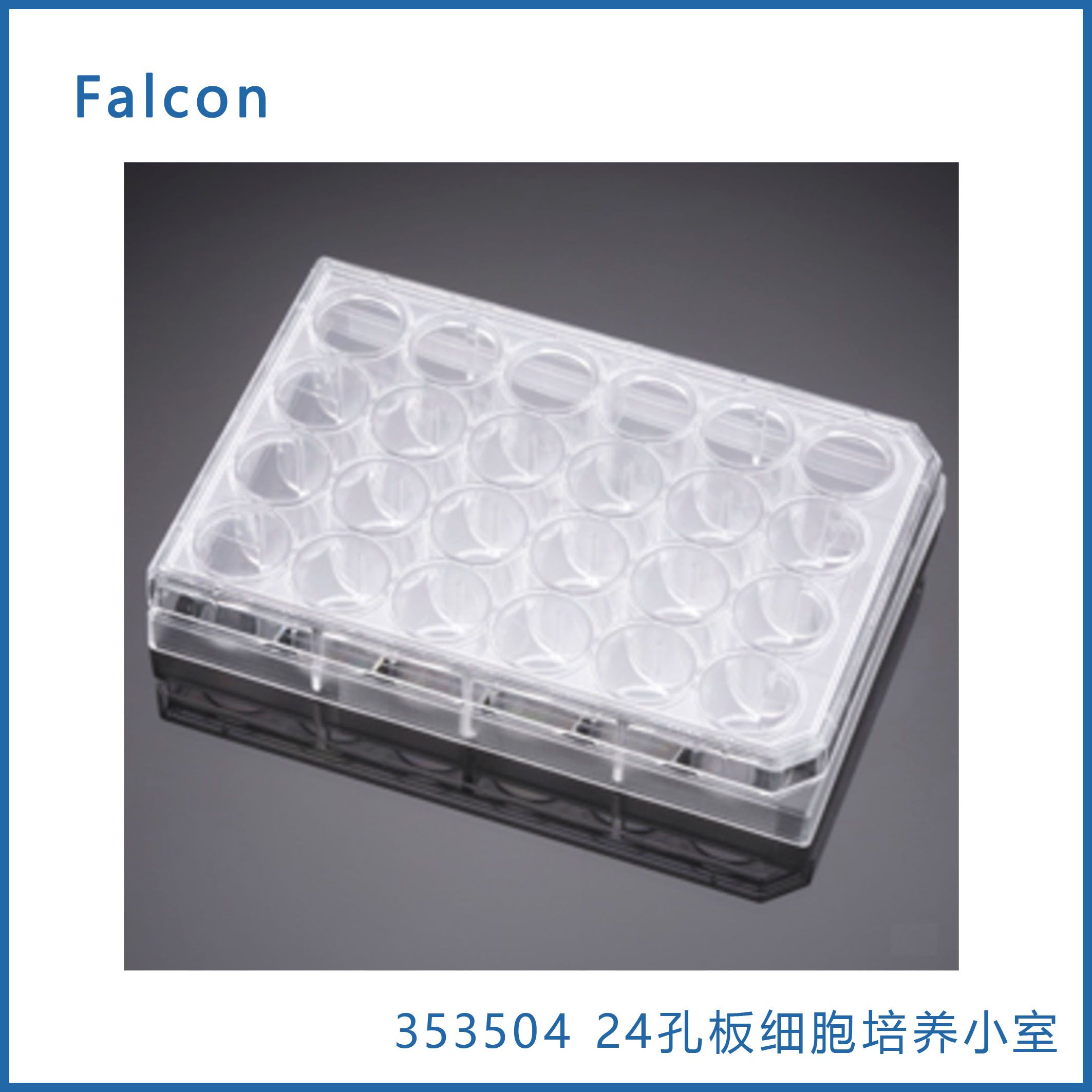 24孔板细胞培养小室配套用板 Faclon 353504 现货