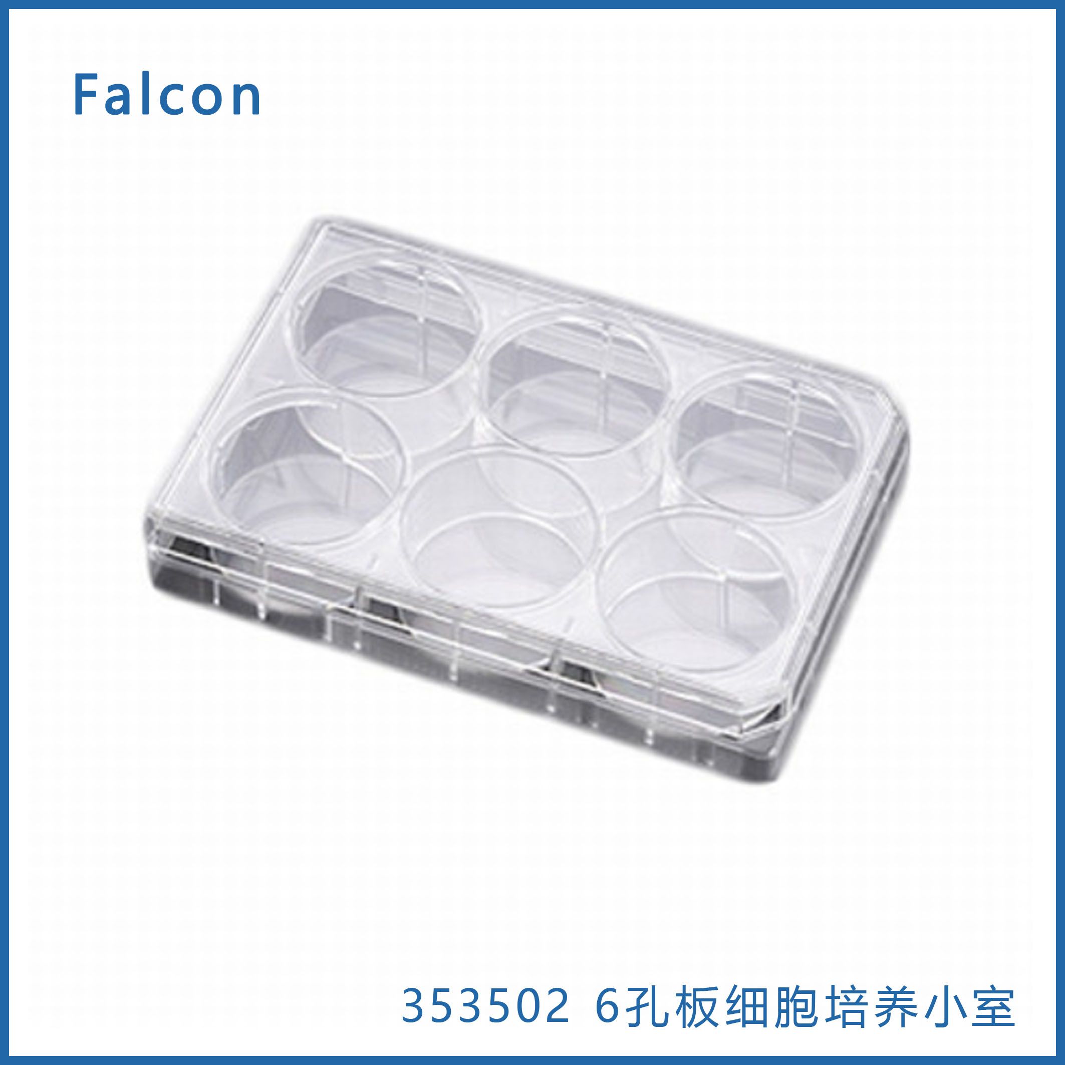 Falcon 353502  6孔板细胞培养小室TC处理聚苯乙烯渗透性支撑配套板，带盖，无菌 现货