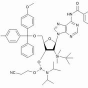 104992-55-4/ Bz-rA亚磷酰胺单体,≥98%
