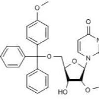 538-62-5/	 对称二苯基偶氮羰酰肼 ,	AR