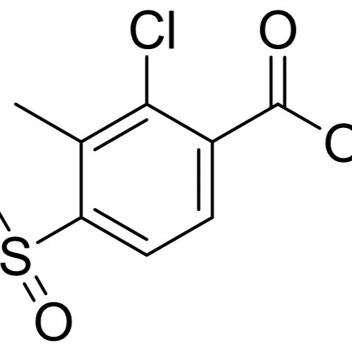 106904-09-0.	 2-氯-3-甲基-4-(甲基磺酰)苯甲酸,	95%