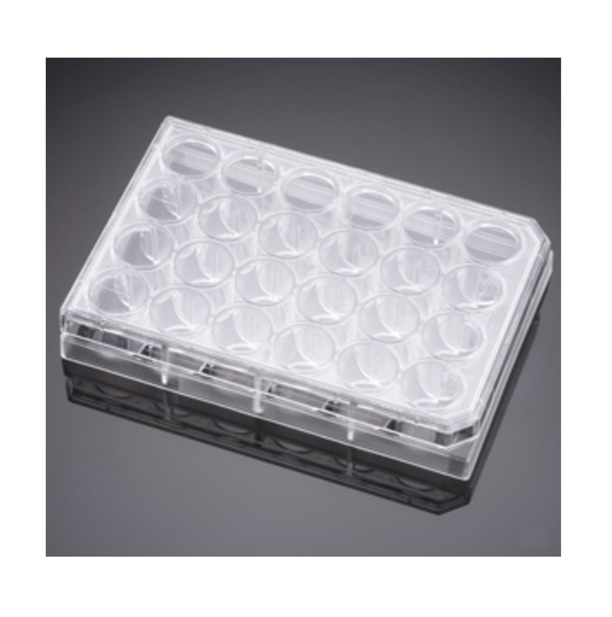 24孔板细胞培养小室配套用板 Faclon 353504 现