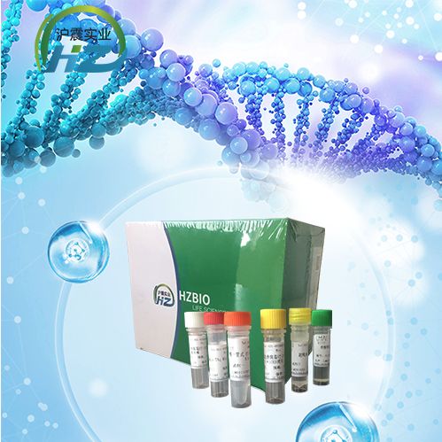 猪生殖与呼吸综合症病毒美洲型经典株探针法荧光定量RT-PCR试剂盒