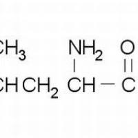 328-39-2/ DL-亮氨酸, 分析标准品,HPLC≥98%
