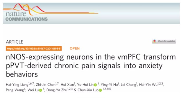 NC新成果——南医大罗春霞教授组在mPFC中nNOS+ 神经元转导疼痛信号为焦虑行为研究取得重要进展