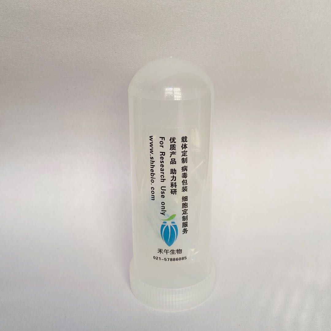 pCDH-CMV-SYVN1(mouse)-EF1-CopGFP-T2A-Puro(1同义突变)质粒