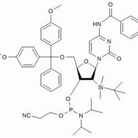 118380-84-0/ Bz-rC亚磷酰胺单体 ,≥98%