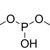 1189-24-8/	 亚酸二异丁酯 ,	98%