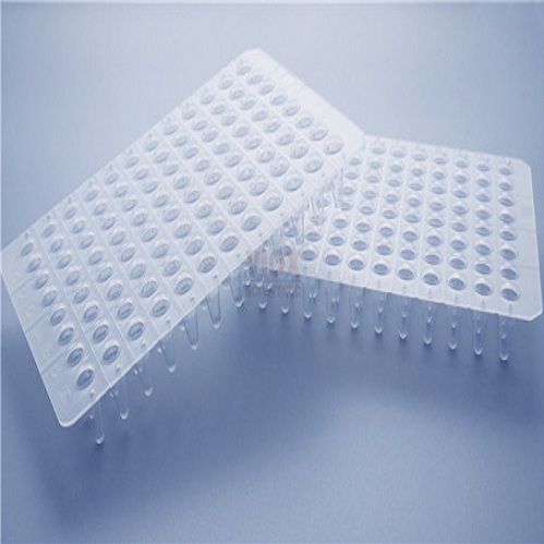 天津pcr板-无裙边96孔PCR板0.2ml透明96孔板