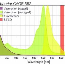 CAGE 552单分子定位荧光染料