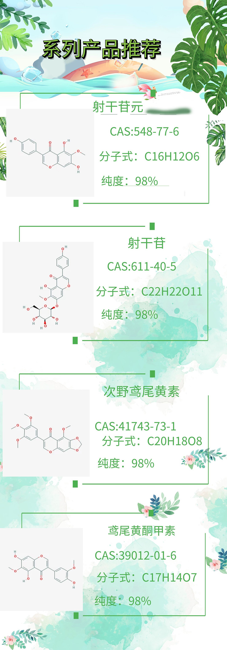 新闻图片4
