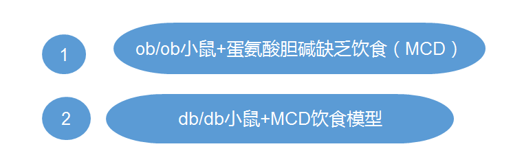新闻图片2