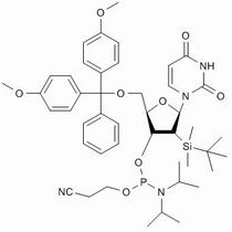 118362-03-1/ 5'-O-(4,4-二甲氧基三苯甲基)-2'-O-[(叔丁基)二甲基硅基]尿苷-3'-(2-基乙基-N,N-二异丙基)亚磷,≥98%