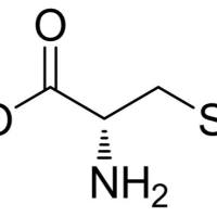1187-84-4/	 S-甲基-L-半胱氨酸 ,	98%