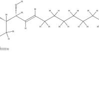182493-45-4/	 N-HEXANOYL-D-SPHINGOMYELIN;06:0 SM (D18:1/6:0),	>99%