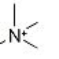 1219257-11-0/ 氯化氯胆碱-三甲基-D9 , 分析标准品,100ug/ml