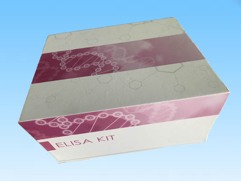 人布鲁氏菌IgM抗体ELISA检测试剂盒