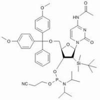 121058-88-6/	 N-乙酰基-5'-O-(4,4-二甲氧基三苯甲基)-2'-O-[(叔丁基)二甲基硅基]胞苷-3'-(2-基乙基-N,N-二异丙基)磷酰,	≥98%