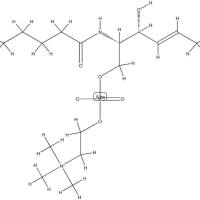 121999-64-2/	 N-HEPTADECANOYL-D-ERYTHRO-SPHINGOSYLPHOSPHORYLCHOLINE;17:0 SM (D18:1/17:0) ,>99%