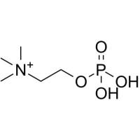 107-73-3/	 磷酸胆碱 ,	纯度98%，含水率30%