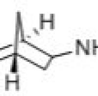 822-98-0/双环[2.2.1]庚-2-胺